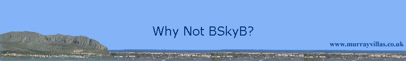 Why Not BSkyB?